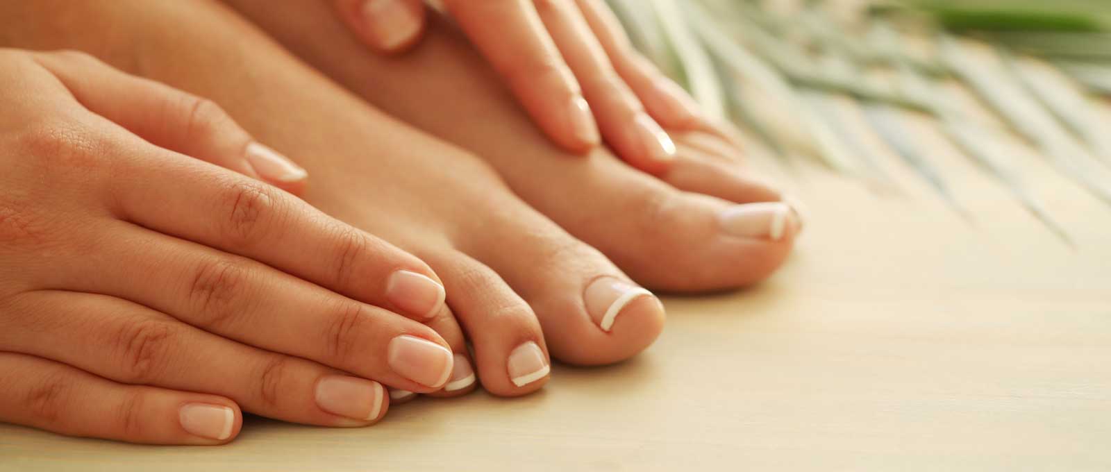 Head-Hads-Feet